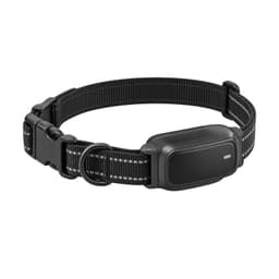 Dog Collar and Fence